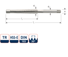 Rotec 356.2000 HSS-G Trapeziumtap TR20 x 4