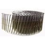 Haubold 574867 Coilnägel CW 2,1x50 mm Ring Inox 10500 Stk. - 1