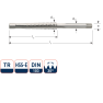 Rotec 356.2400 HSS-G Trapeziumtap TR24 x 5 - 1